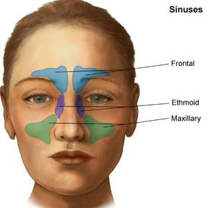 Do Sinus Drain - Spotting A Sinus Infection Symptom Right Away