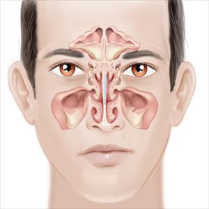 Clear Sinus 